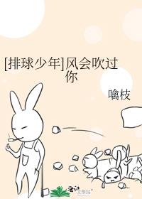 [排球少年]风会吹过你