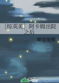 ［综英美］阿卡姆出院之后