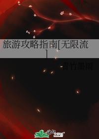 旅游攻略指南[无限流]