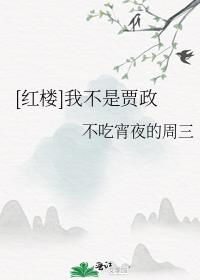 [红楼]我不是贾政