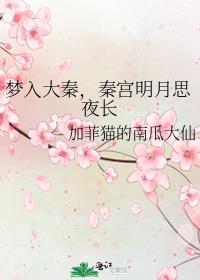 梦入大秦，秦宫明月思夜长