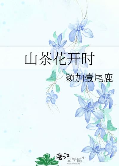 山茶花开时