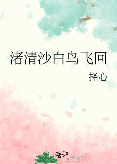 渚清沙白鸟飞回