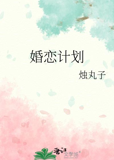 婚恋计划