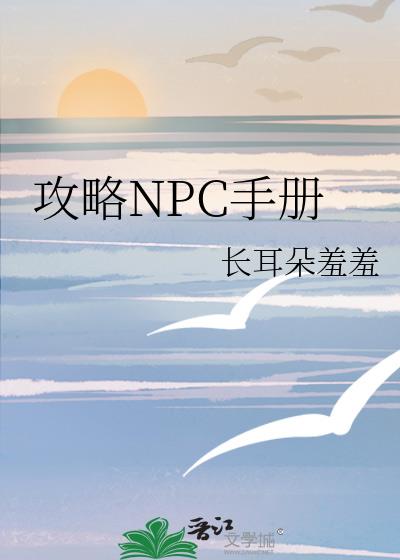 攻略NPC手册