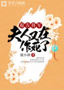 报告将军，夫人又在作死了